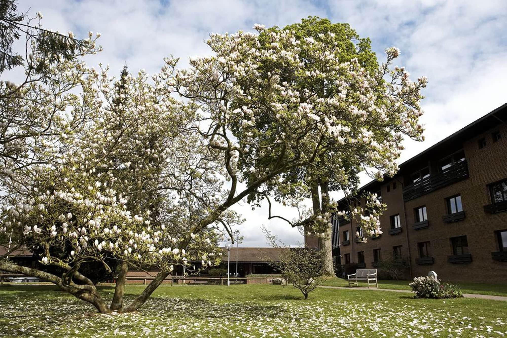 Munkebjerg Hotel Vejle Kültér fotó